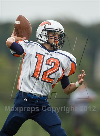 Thumbnail 2 in Briar Woods @ Woodgrove photogallery.