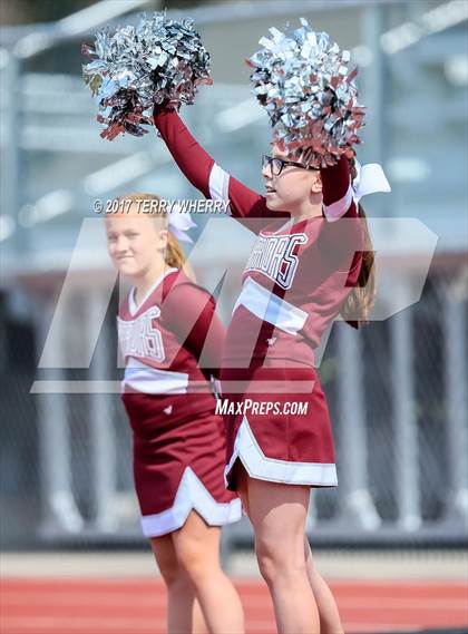 Thumbnail 2 in Alden @ Tonawanda photogallery.