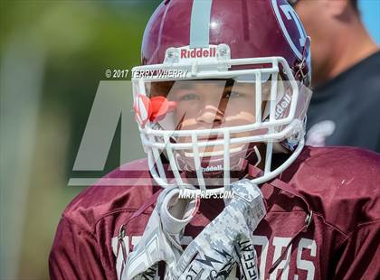 Thumbnail 3 in Alden @ Tonawanda photogallery.