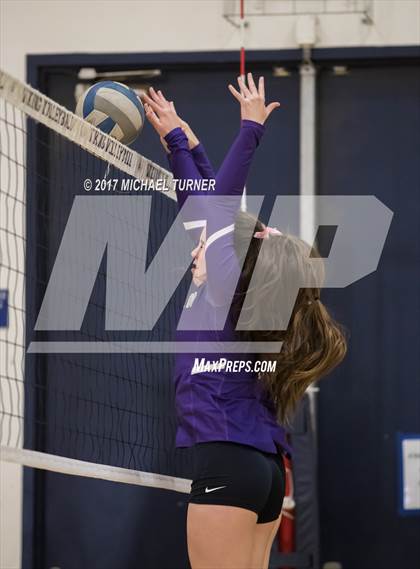 Thumbnail 1 in Montgomery vs. Shasta photogallery.