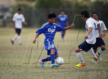 Thumbnail 2 in Catalina vs Pueblo (Panther Tournament) photogallery.