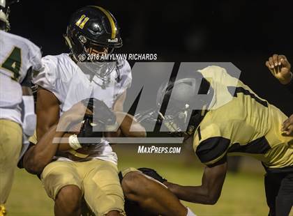Thumbnail 3 in Oak Ridge @ Ocoee  photogallery.