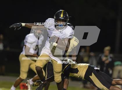 Thumbnail 3 in Oak Ridge @ Ocoee  photogallery.
