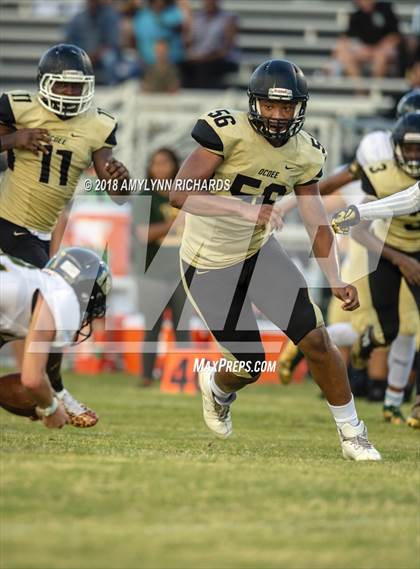 Thumbnail 1 in Oak Ridge @ Ocoee  photogallery.