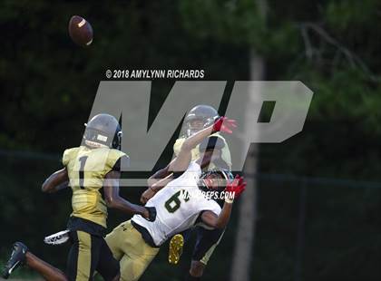 Thumbnail 1 in Oak Ridge @ Ocoee  photogallery.
