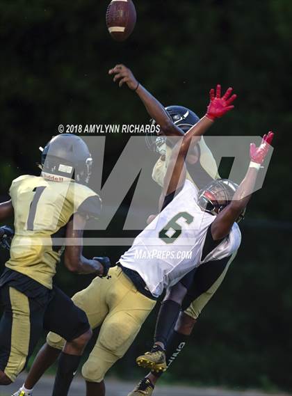 Thumbnail 3 in Oak Ridge @ Ocoee  photogallery.