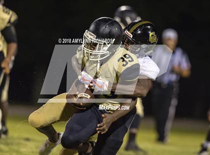 Thumbnail 1 in Oak Ridge @ Ocoee  photogallery.