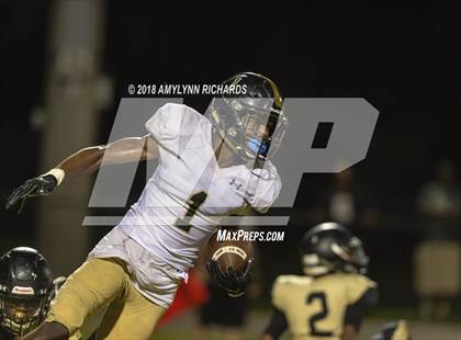 Thumbnail 3 in Oak Ridge @ Ocoee  photogallery.