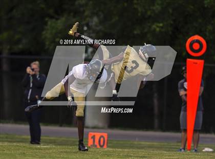 Thumbnail 1 in Oak Ridge @ Ocoee  photogallery.