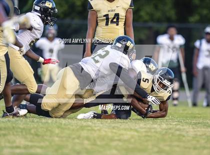 Thumbnail 2 in Oak Ridge @ Ocoee  photogallery.