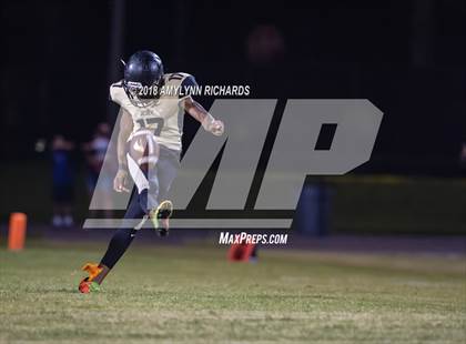 Thumbnail 2 in Oak Ridge @ Ocoee  photogallery.