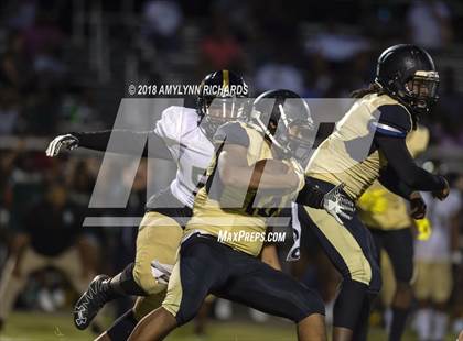 Thumbnail 2 in Oak Ridge @ Ocoee  photogallery.