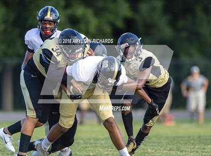 Thumbnail 2 in Oak Ridge @ Ocoee  photogallery.