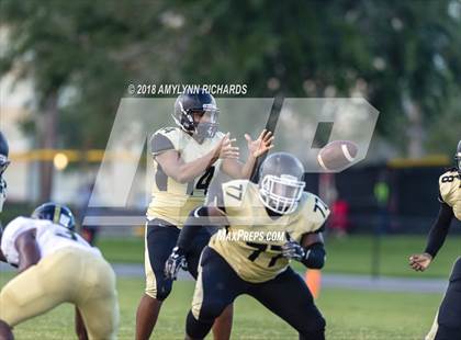 Thumbnail 3 in Oak Ridge @ Ocoee  photogallery.