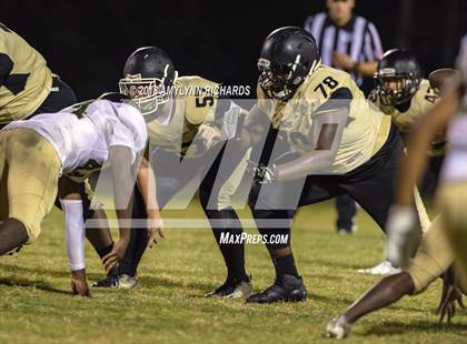 Thumbnail 1 in Oak Ridge @ Ocoee  photogallery.