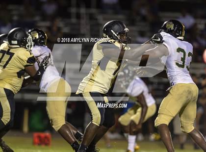 Thumbnail 1 in Oak Ridge @ Ocoee  photogallery.