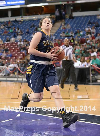 Thumbnail 3 in Oak Ridge vs. St. Mary's (CIF SJS D1 Final) photogallery.