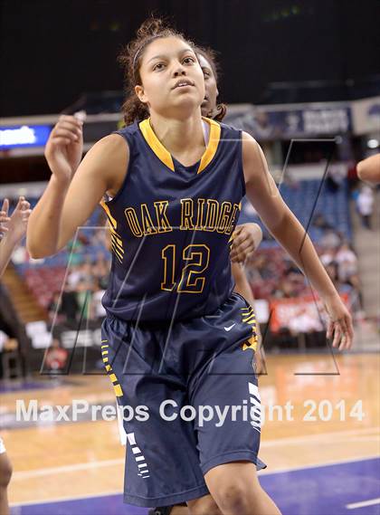 Thumbnail 1 in Oak Ridge vs. St. Mary's (CIF SJS D1 Final) photogallery.