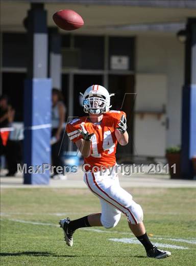 null - Photo 31