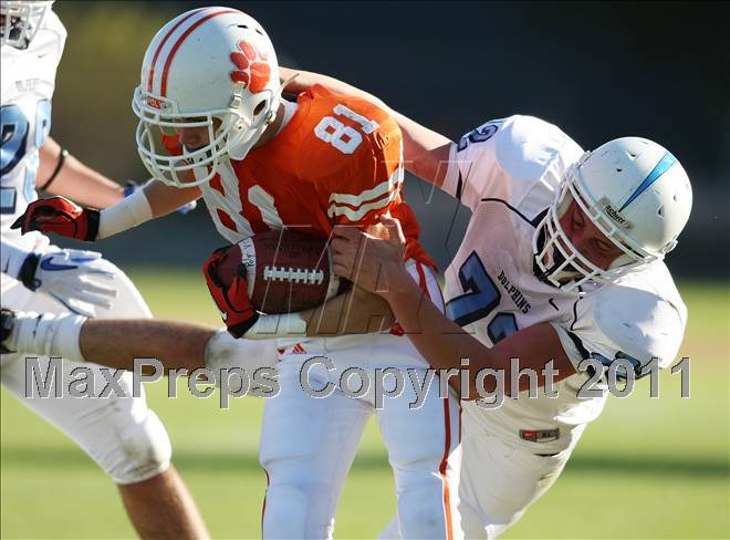 null - Photo 21