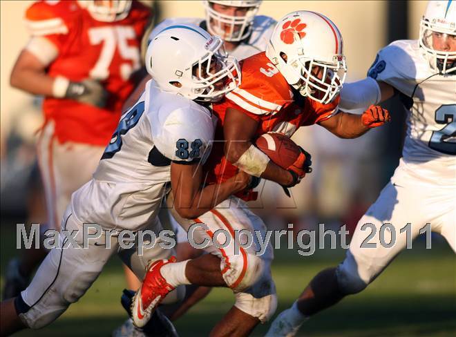2010 - Photo #13