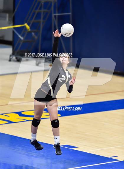 Thumbnail 3 in Hesperia @ Serrano photogallery.
