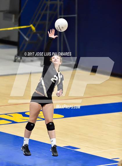 Thumbnail 3 in Hesperia @ Serrano photogallery.