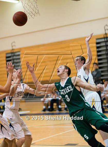 Thumbnail 2 in Sickles @ Steinbrenner photogallery.