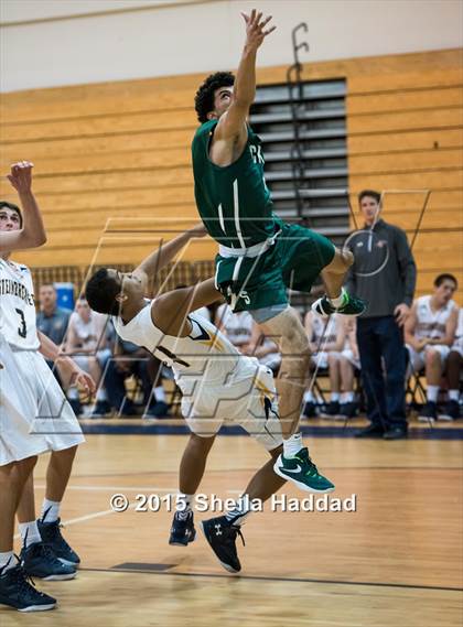 Thumbnail 2 in Sickles @ Steinbrenner photogallery.