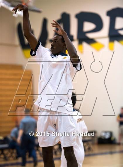 Thumbnail 2 in Sickles @ Steinbrenner photogallery.