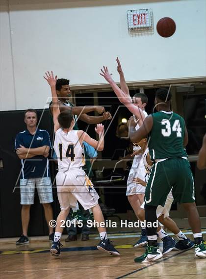 Thumbnail 3 in Sickles @ Steinbrenner photogallery.