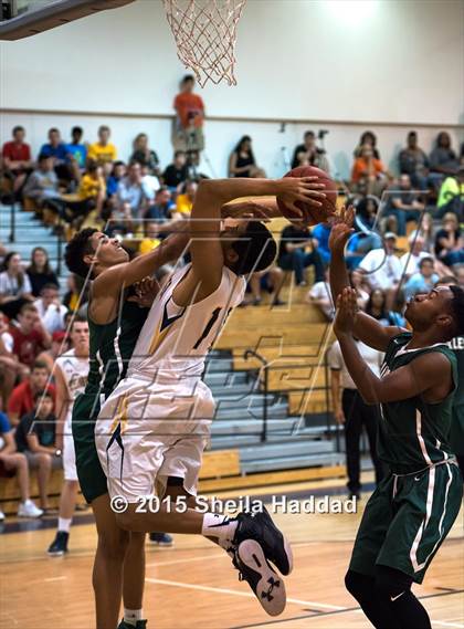 Thumbnail 1 in Sickles @ Steinbrenner photogallery.