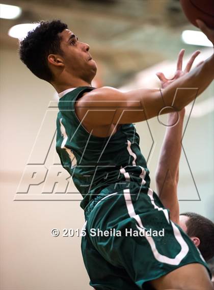Thumbnail 2 in Sickles @ Steinbrenner photogallery.