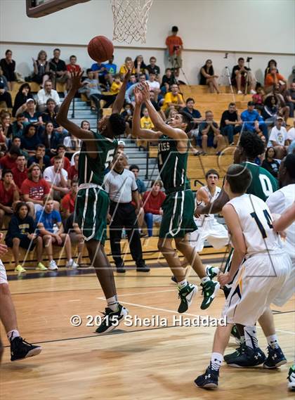 Thumbnail 3 in Sickles @ Steinbrenner photogallery.