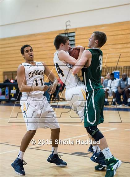 Thumbnail 1 in Sickles @ Steinbrenner photogallery.