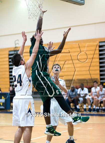 Thumbnail 2 in Sickles @ Steinbrenner photogallery.