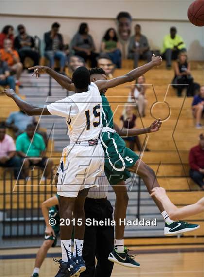 Thumbnail 3 in Sickles @ Steinbrenner photogallery.