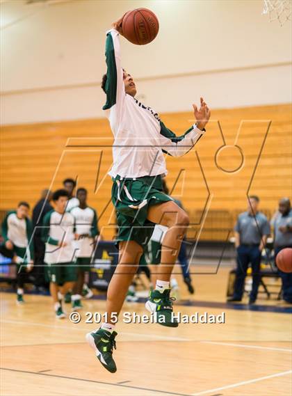 Thumbnail 3 in Sickles @ Steinbrenner photogallery.