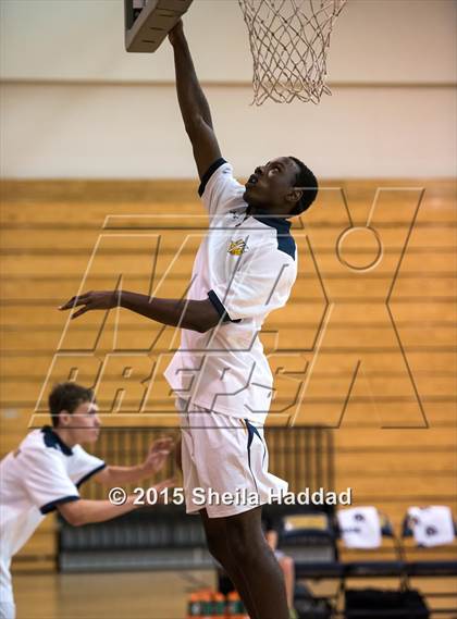 Thumbnail 1 in Sickles @ Steinbrenner photogallery.