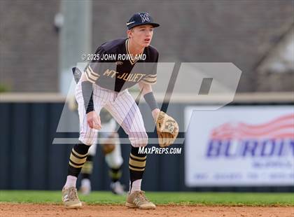 Thumbnail 2 in Riverdale @ Mt. Juliet photogallery.