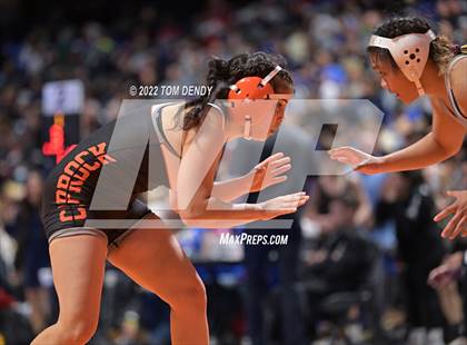 Thumbnail 1 in UIL State Championships - 5A 119lb Final photogallery.