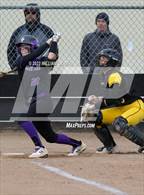 Photo from the gallery "College Park @ Granada"