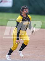 Photo from the gallery "College Park @ Granada"