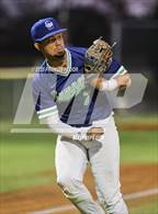 Photo from the gallery "Strawberry Crest @ Sumner"