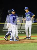 Photo from the gallery "Strawberry Crest @ Sumner"