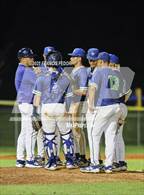 Photo from the gallery "Strawberry Crest @ Sumner"