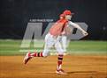 Photo from the gallery "Strawberry Crest @ Sumner"
