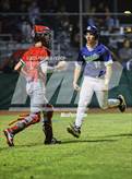 Photo from the gallery "Strawberry Crest @ Sumner"