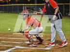 Photo from the gallery "Strawberry Crest @ Sumner"