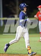 Photo from the gallery "Strawberry Crest @ Sumner"